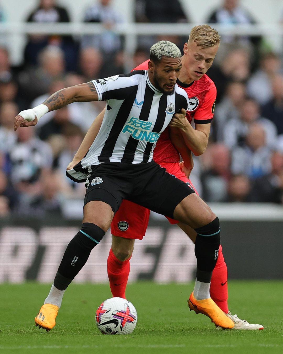 面对沃尔夫 面对沃尔夫